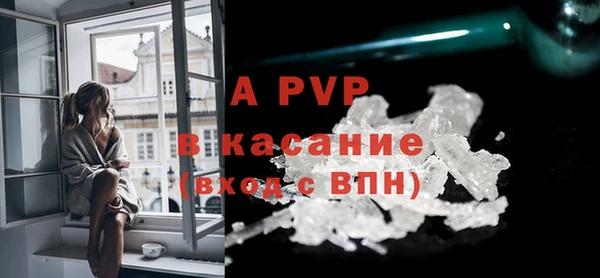 крисы Бородино