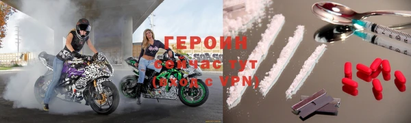 крисы Бородино