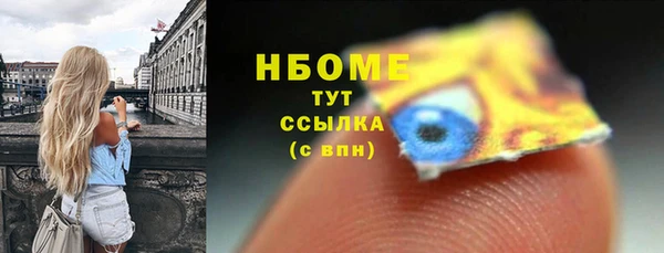крисы Бородино