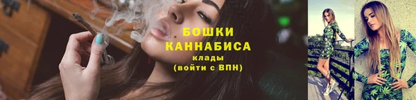 крисы Бородино