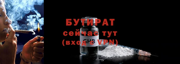 крисы Бородино