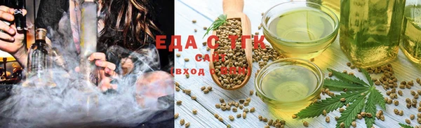 крисы Бородино