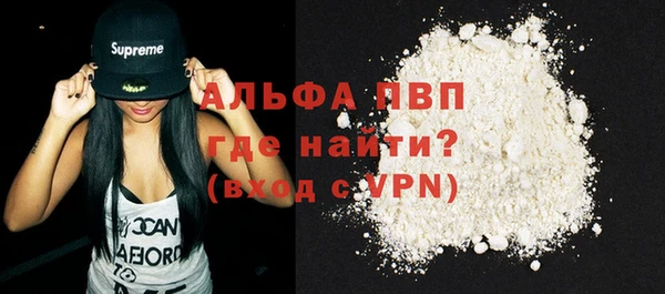 крисы Бородино