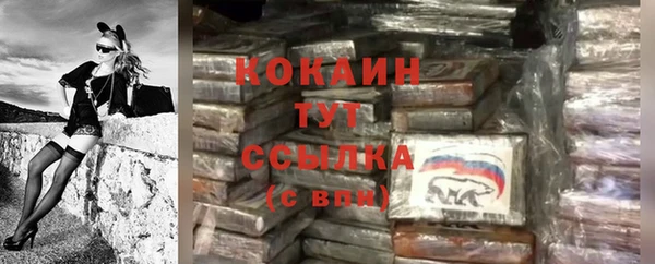 стафф Бронницы