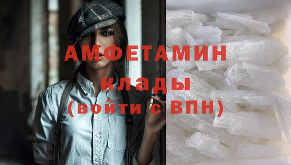 крисы Бородино